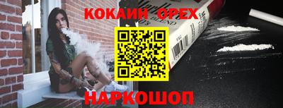 Альфа ПВП Кандалакша
