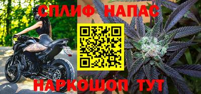 Альфа ПВП Кандалакша