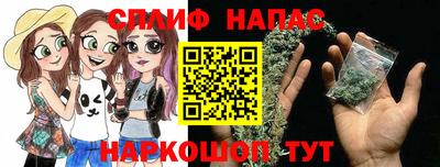 Альфа ПВП Кандалакша
