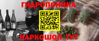 наркотики Камышлов