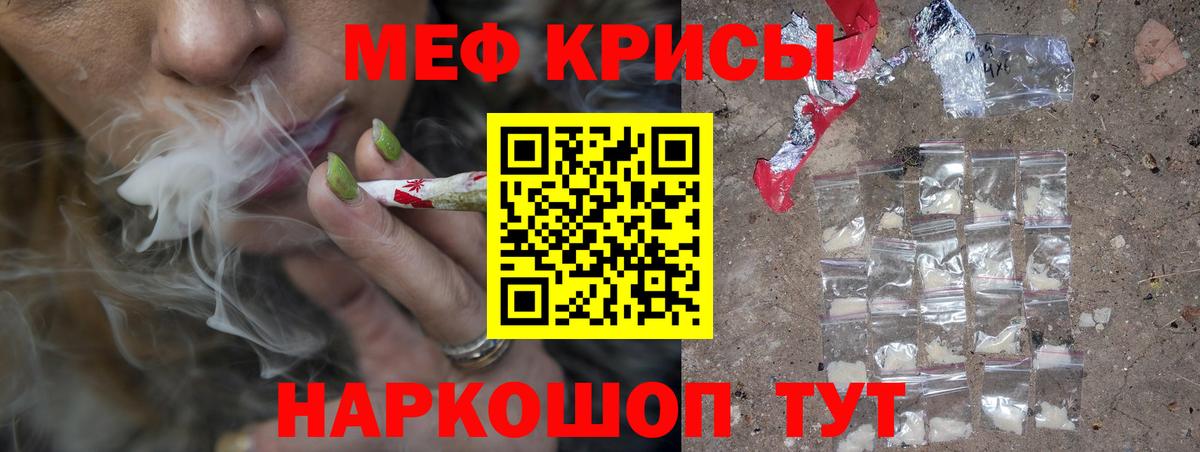 МЕФ  Майкоп