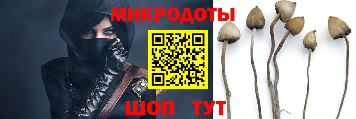 Галлюциногенные грибы GOLDEN TEACHER Майкоп
