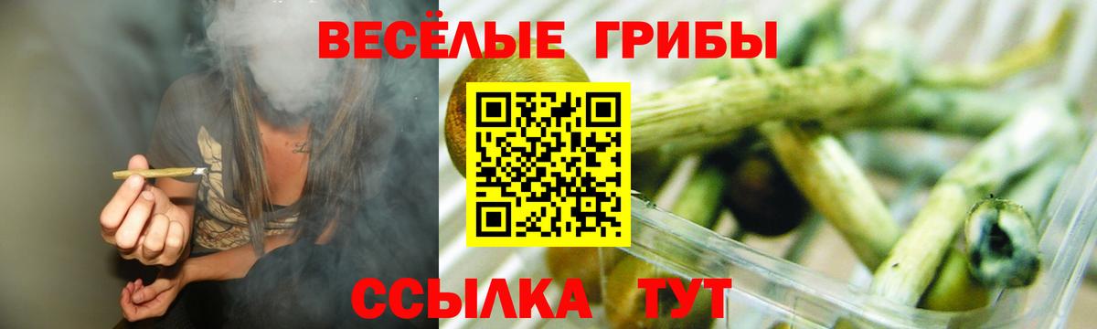 Псилоцибиновые грибы мухоморы  Вход с VPN  Майкоп 